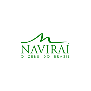 logo-navirai - Nexus Global Business